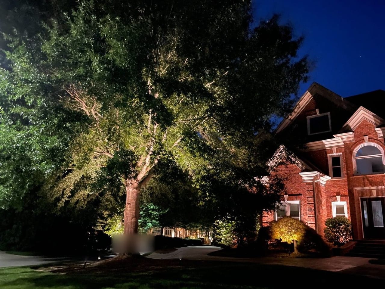 Large shade tree uplit from its base beside a brick two-story home at night in Wake County
